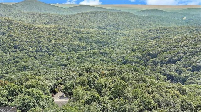 2136 Ridgeview Drive, Big Canoe, GA 30143