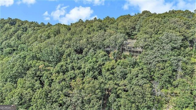 2136 Ridgeview Drive, Big Canoe, GA 30143