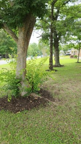 610 Gib Drive, Manning, SC 29102