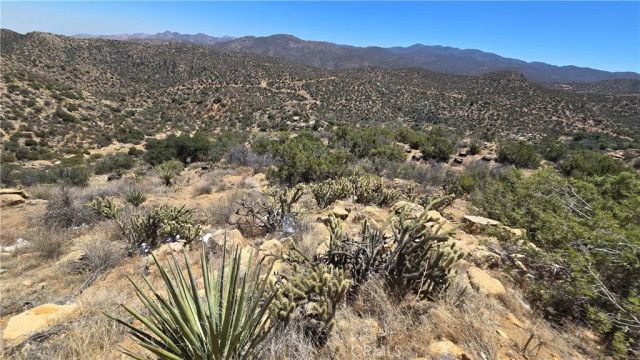 0 Old Cattle, Anza, CA 92539