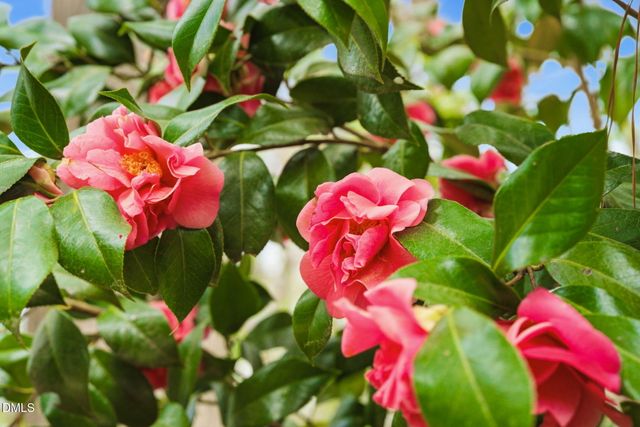 7004 Ferrell Woods Lane, Raleigh, NC 27603