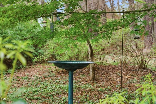 7004 Ferrell Woods Lane, Raleigh, NC 27603