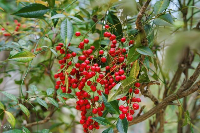 7004 Ferrell Woods Lane, Raleigh, NC 27603