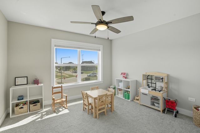 23039 Lakeview Estates Boulevard, Frankfort, IL 60423