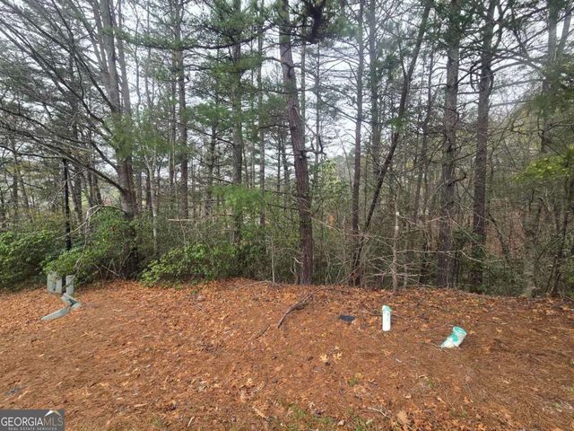 35 Vienna Ring, Helen, GA 30545