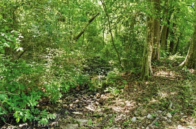 8680 Belleau Woods Drive, Chattanooga, TN 37421