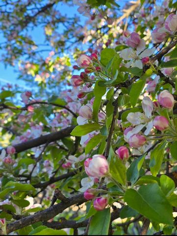 129 Henry Street, Klamath Falls, OR 97601