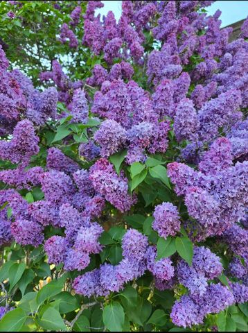 129 Henry Street, Klamath Falls, OR 97601