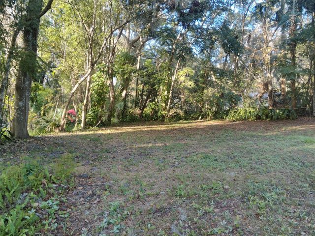 487 RYLANE STREET, De Leon Springs, FL 32130