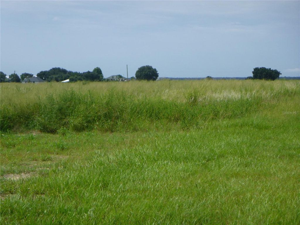 Image 3 of property listing at 2975 PIT ROAD, Bartow, FL 33830