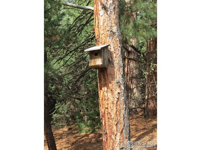 3819 James Canyon Dr, Jamestown, CO 80455