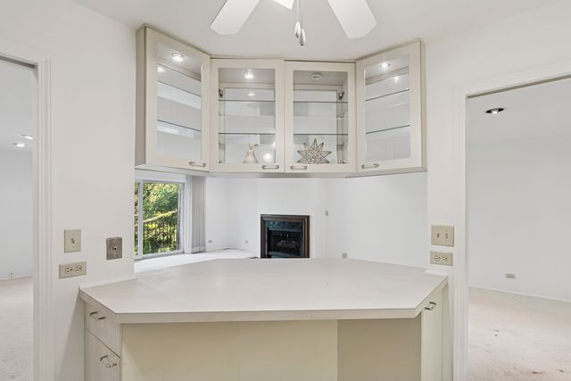 1250 Park Avenue 435, Highland Park, IL 60035