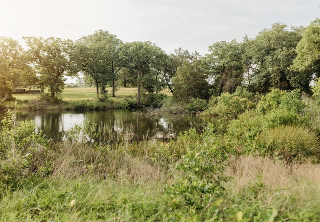 137 Yucatan Village Court, Gordonville, TX 76245