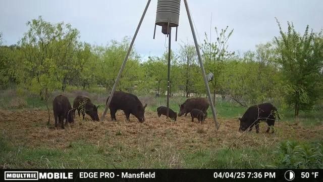 0000 Fm-661, Midlothian, TX 76065