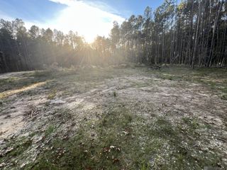 14333 Springfield Rd, Walker, LA 70785