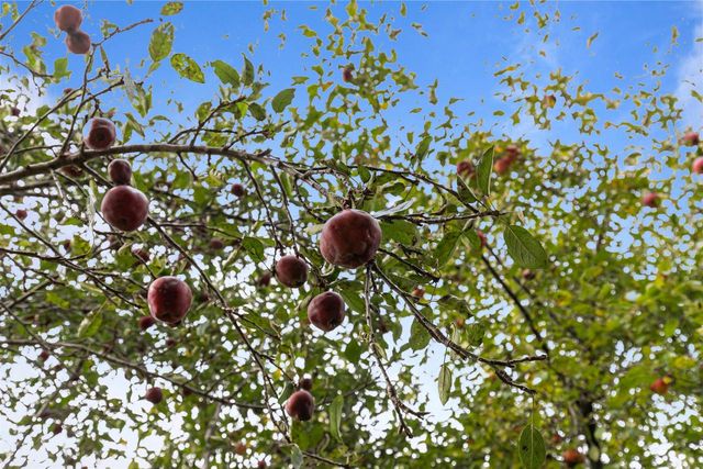 N2662 FOX VIEW DRIVE, Hortonville, WI 54944