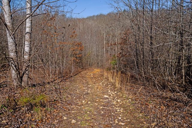 131 Turkey Ridge Rd, Summertown, TN 38483