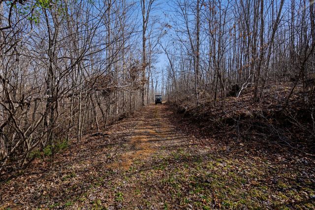 131 Turkey Ridge Rd, Summertown, TN 38483