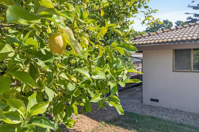 7394 Farm Dale Way, Sacramento, CA 95831