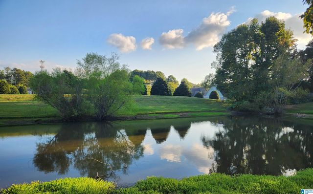138 BELVEDERE DRIVE, Birmingham, AL 35242