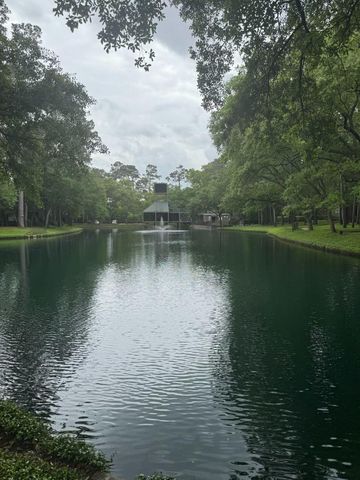 100 Litchfield Lane, Houston, TX 77024