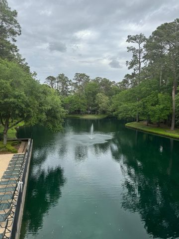 100 Litchfield Lane, Houston, TX 77024