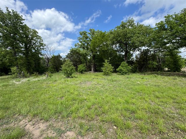 1017 Cedar Hill Drive, Nemo, TX 76070