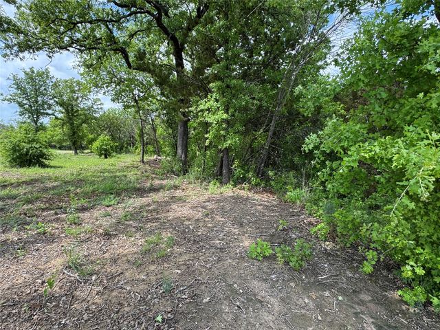 1017 Cedar Hill Drive, Nemo, TX 76070