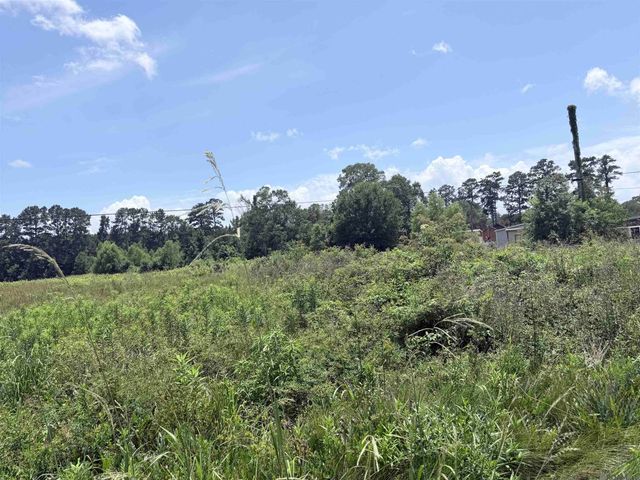 Lot CC-3 Herman Ernest Dr, Denham Springs, LA 70706