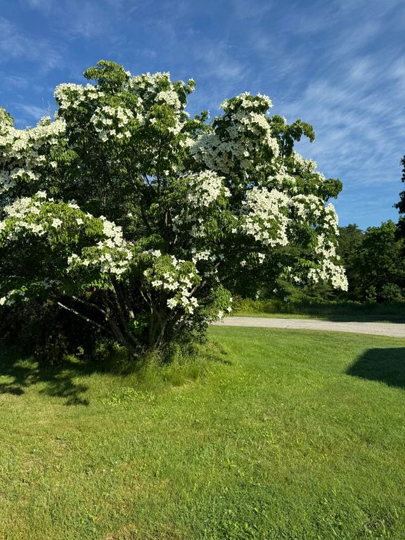 415 Bath Road, Brunswick, ME 04011 — photo 2