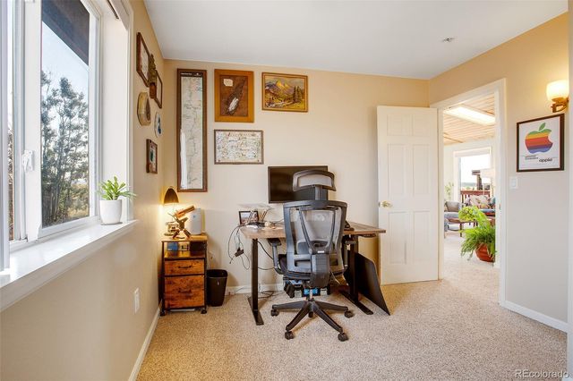 119 Bristlecone Lane, Fairplay, CO 80440