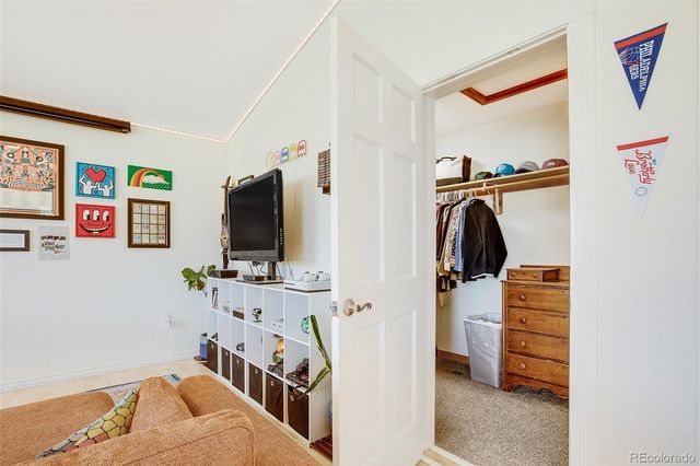 119 Bristlecone Lane, Fairplay, CO 80440