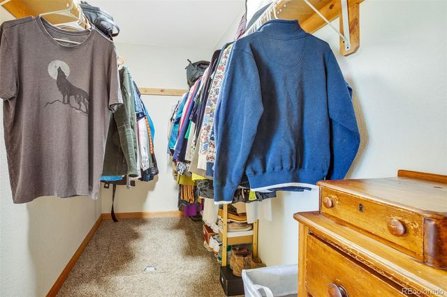 119 Bristlecone Lane, Fairplay, CO 80440