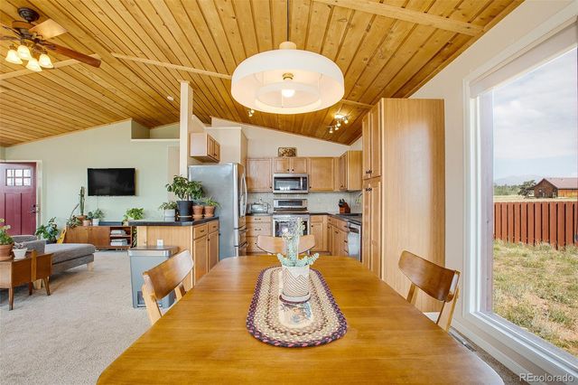 119 Bristlecone Lane, Fairplay, CO 80440