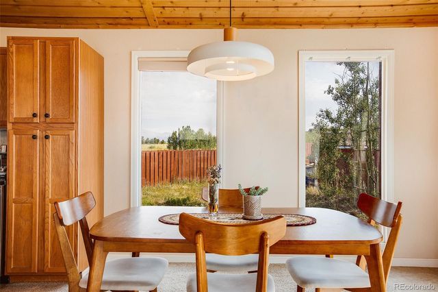 119 Bristlecone Lane, Fairplay, CO 80440