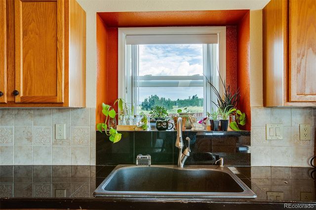 119 Bristlecone Lane, Fairplay, CO 80440