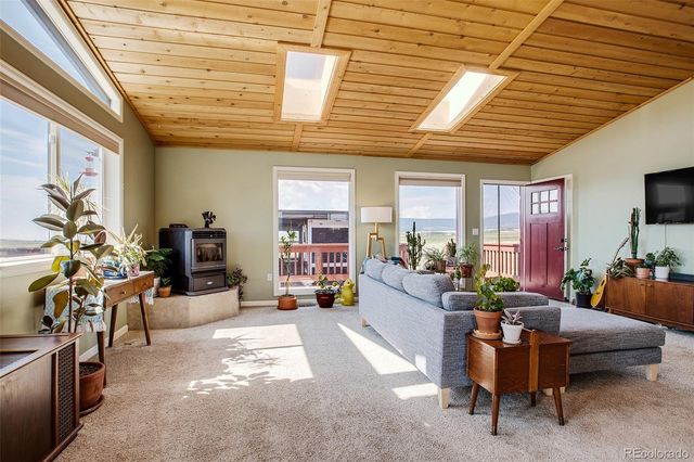 119 Bristlecone Lane, Fairplay, CO 80440