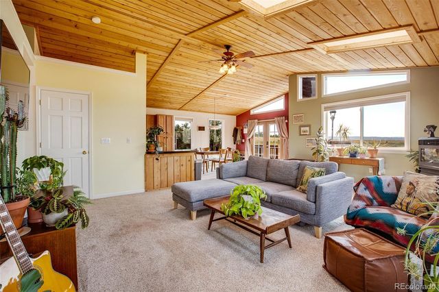 119 Bristlecone Lane, Fairplay, CO 80440