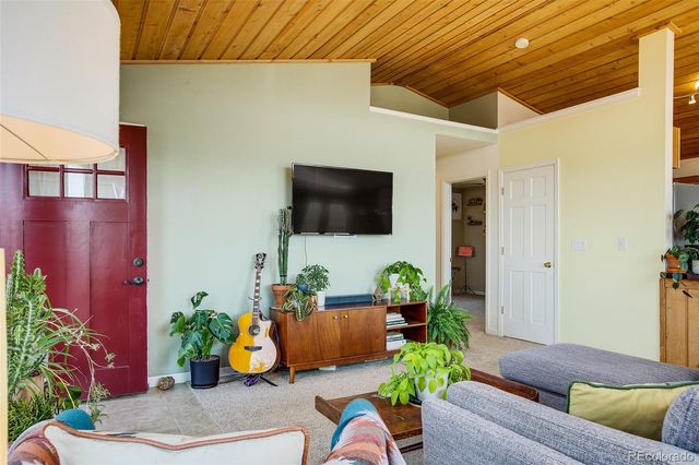 119 Bristlecone Lane, Fairplay, CO 80440