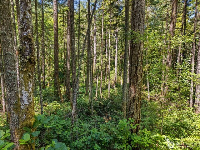 0 SP1355 E Glenwood Drive, Union, WA 98592