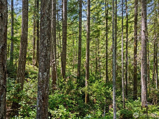 0 SP1355 E Glenwood Drive, Union, WA 98592