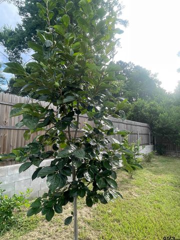 2709 Walton Rd, Tyler, TX 75701