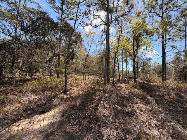 2 LINDER STREET, Homosassa, FL 34446