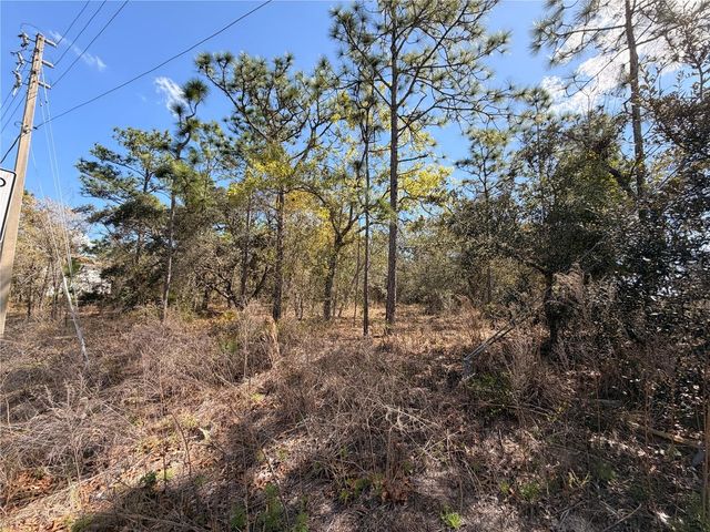 2 LINDER STREET, Homosassa, FL 34446