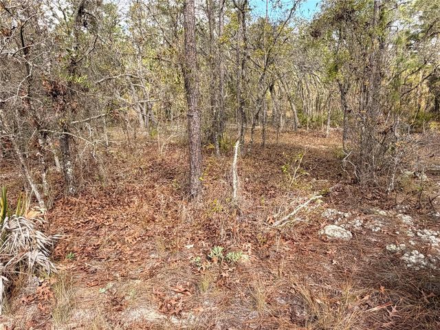 2 LINDER STREET, Homosassa, FL 34446