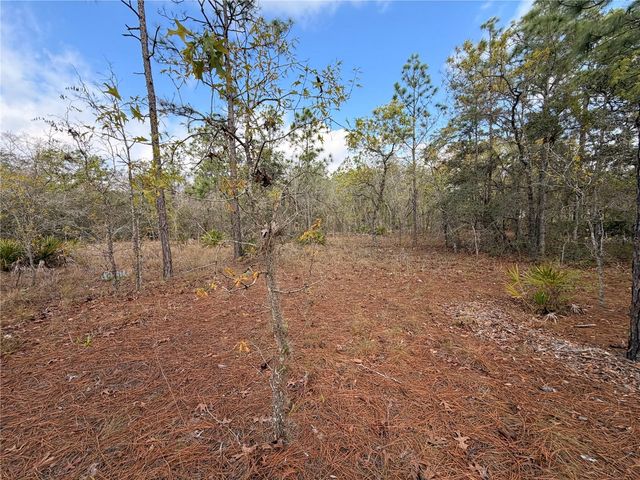 2 LINDER STREET, Homosassa, FL 34446