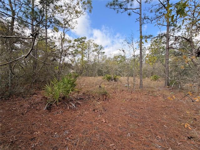 2 LINDER STREET, Homosassa, FL 34446
