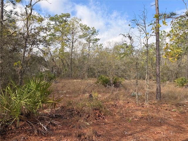 2 LINDER STREET, Homosassa, FL 34446