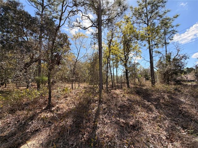 2 LINDER STREET, Homosassa, FL 34446