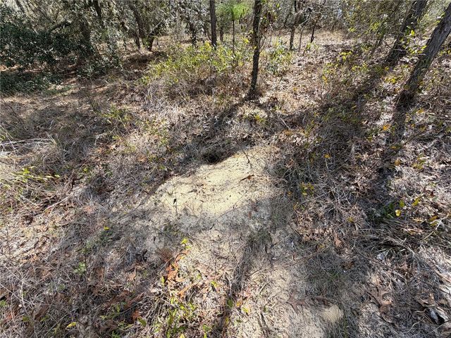 2 LINDER STREET, Homosassa, FL 34446